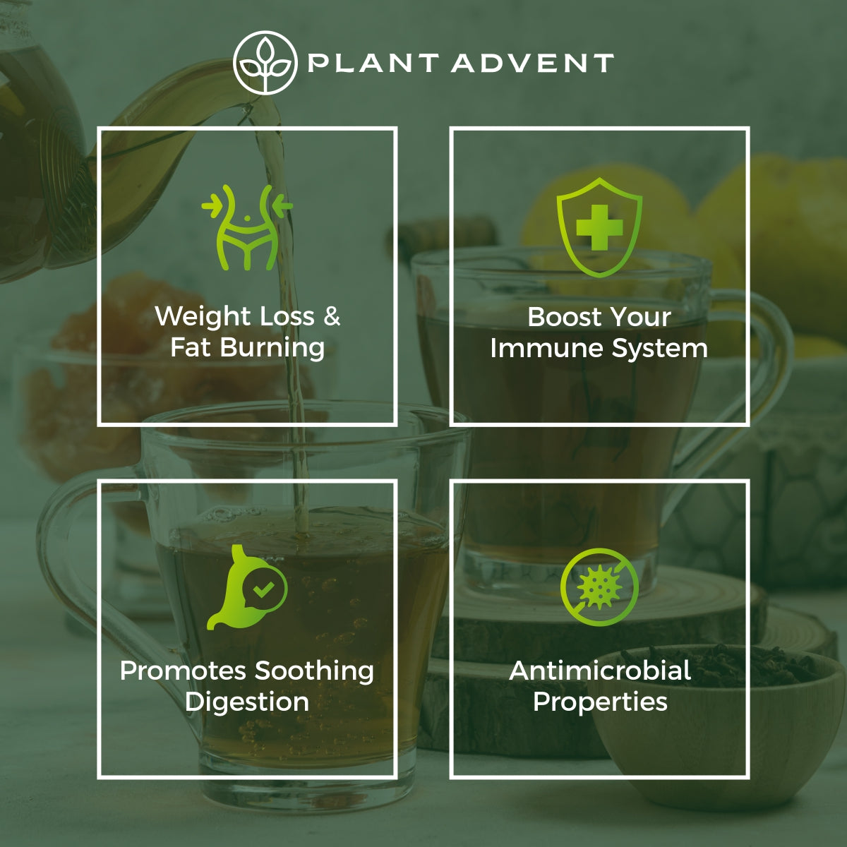 Plant Advent Detox Tea (14-Day)