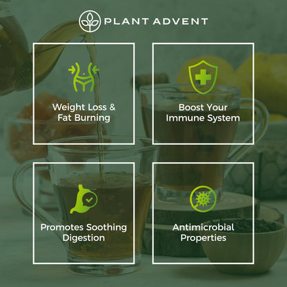 Plant Advent Detox Tea (14-Day)